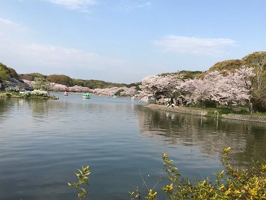 兵庫県立明石公園
